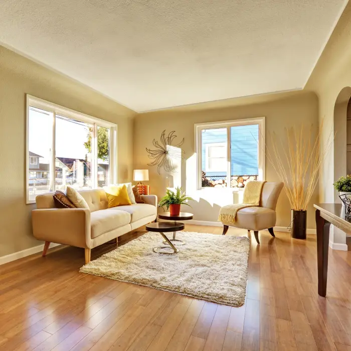 Bright living room with rug